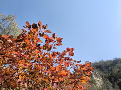 -狼牙山风景区