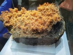 -湖南省地质博物馆