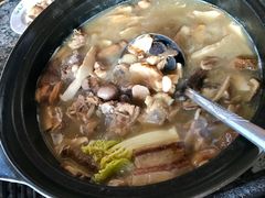 -蘑统田下·野生菌火锅