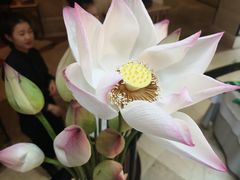 -王家渡火锅店(棕榈泉店)