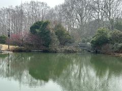 -习家池