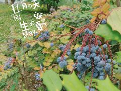 -尚贤河湿地