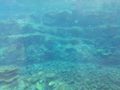 -瑞德姆美人鱼海底演艺主题餐厅(亚龙湾店)