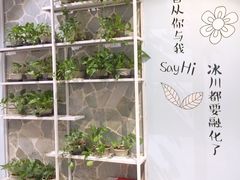 景观位-一笼小幸运