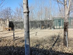 -秦皇岛野生动物园