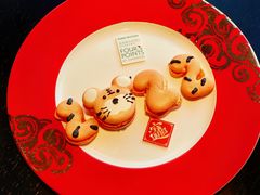 -青岛西海岸隆和福朋喜来登酒店
