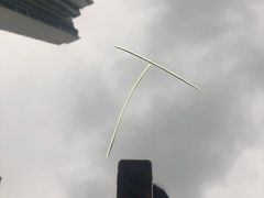 -胖大姐黄辣丁鱼庄(新津店)