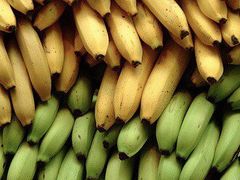 -上海龙吴水胜海发市场