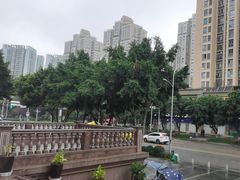 -维也纳酒店(重庆西站巴国城店)