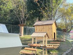 -杭州开元森泊度假乐园