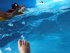 -青岛东方影都融创水世界