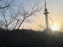 -青岛电视塔