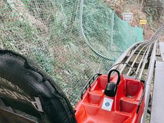 -盘龙黄鳝(盘龙居店)