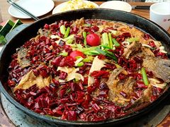 -老板恋上鱼(恒隆广场店)