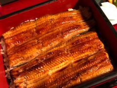 -料亭菊水楼