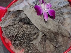 -醉董牛川派鲜肉自选火锅(烟台店)