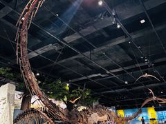 -国家自然博物馆