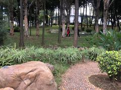 -佛山市三水区大南山森林公园