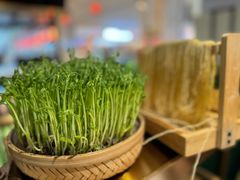 -粤小煲鲜汤猪肚鸡(丹尼斯二天地店)