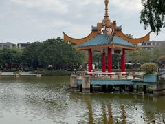 -金砂公园