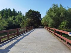 -上海滨江森林公园