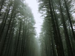 -石棉县孟获城