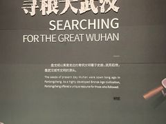 -盘龙城遗址博物院