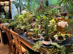 -自由生长植物工作室(深港花卉中心店)