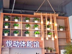 -悦动体能篮球羽毛球网球(三里河店)