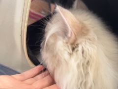 -佳雯宠物医院·皮肤科·内外科(春晓路分院)