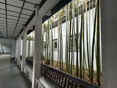 -杭州植物园