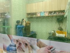 -瑞鹏宠物医院·微创内窥镜·骨外科·牙科(翠竹分院)