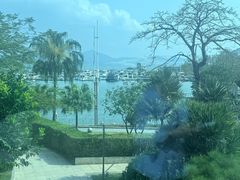 -希尔顿南海酒店·观廊大堂吧·海景下午茶