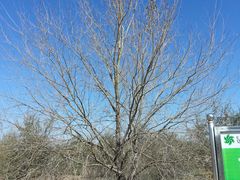 -亿利库布其七星湖沙漠生态旅游区