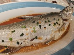 -顺鹅季·非遗烧鹅(六道口店)