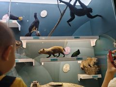 -国家自然博物馆