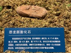 -柳州博物馆