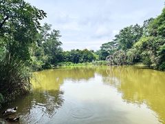 -金山植物公园