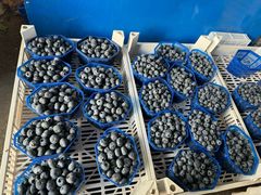 -南坛综合农贸市场