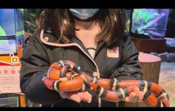 -酷嗒动物文化乐园(cutezoo西溪乐天城店)