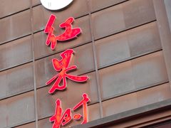 -红果树(江光店)