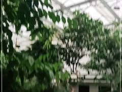 -滕头生态酒店(奉化店)