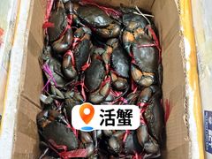 -金螃蟹