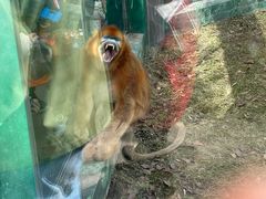 -西安秦岭野生动物园