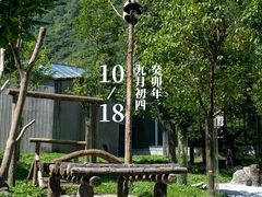 -卧龙中华大熊猫苑神树坪基地