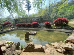 -南京老山国家森林公园