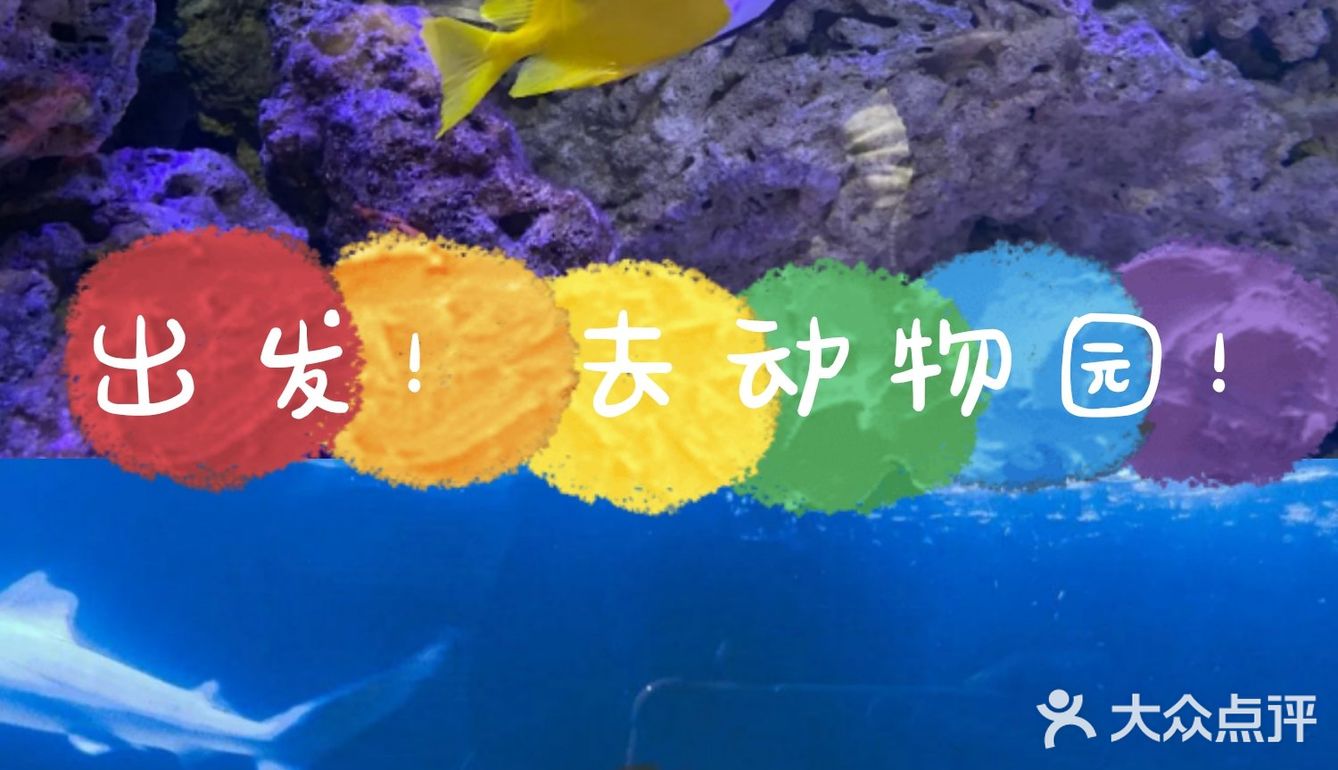 来上海！体验室内动物园之旅