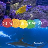 来上海！体验室内动物园之旅