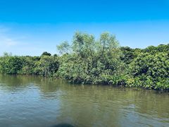 -东寨港红树林旅游区