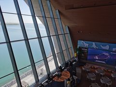 -抱抱地球咖啡馆(国家海洋博物馆店)